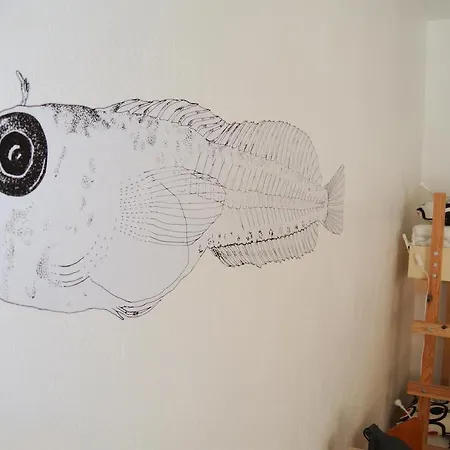 - & Dorms אכסניה *