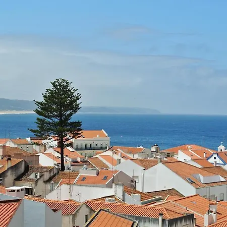 אכסניה - & Dorms